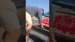 Путь Сантьяго. День 4. Подготовка к пересечении реки Миньо.