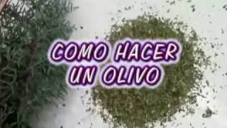 Como hacer un olivo facil