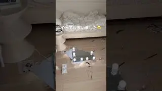 ミラー割っちゃった🥲