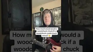 Woodchuck by Mindseed on streaming platforms #music #newmusic #alternativerock #punkrock #numetal