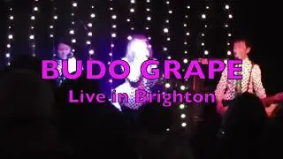 BUDO GRAPE Live in Brighton