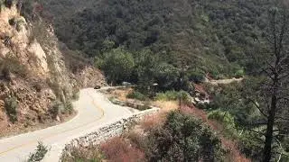 Fly