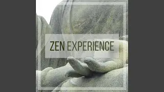 Zen Experience