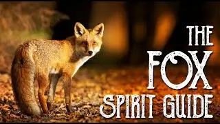 YOUR FOX SPIRIT GUIDE/TOTEM-TIME FOR OBSERVATION-DISCERNMENT & WISDOM