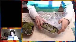 Twitch VOD - Nature Themed Resin Trinket Trays :D