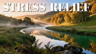 Amazing Nature Scenery 🌿 Relaxing Eye Soothing 4K Video for Stress Relief