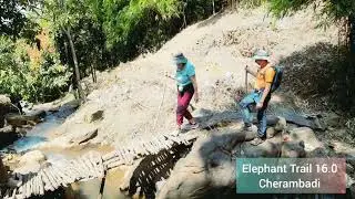 Elephant Trail 16.0 | Cherambadi Trekking Experience | 16 KM Moderate Trek I Wayanad I Nilgiris