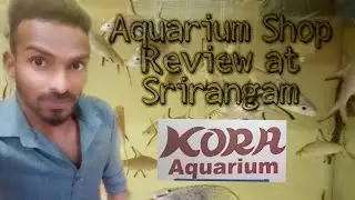 AQUARIUM SHOP REVIEW IN TAMIL ||KORA AQUARIUM AND PET'S SHOP IN SRIRANGAM | CALEB KINGDOM