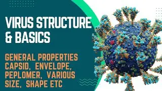 Virus Basic Structure & Properties || Virology Lecture For Medical Students