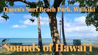 ASMR Queens Surf Beach Park
