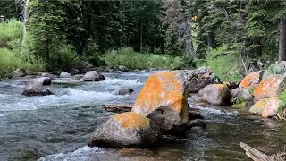 EPIC BATTLE with BIG RAINBOW Trout Gold Medal Trout Fishing COLORADO Pt 3