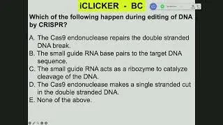 Lecture 15 RNA Processing II 11/20/2025