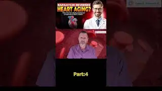 Rapamycin Reverses Heart Aging? New Human Study Explained | Longevity & Heart Health