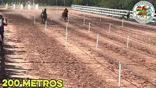 PIMPOLLO VS EMPERATRIZ