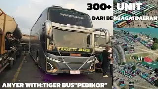 TRIPP ANYER TAHUNAN WITH: TIGER BUS