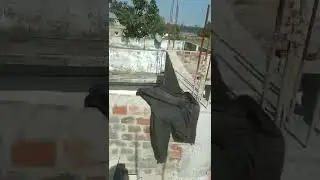 Roof level Bricks work completed #homeplanner #ersachinkumar #10000subscriber #shorts