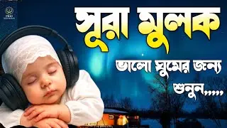 সুন্দর ঘুমের জন্য শুনুন সূরা মুলক তিলাওয়াত | Surah Al Mulk Tilawat | quran recitation | Shamsul Haq 