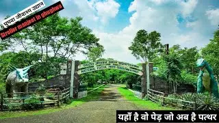 घुघुवा राष्ट्रीय जीवश्म उद्यान मध्यप्रदेश || ghughwa national fossil park || Where tree became stone