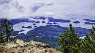 Meares Island Exploration