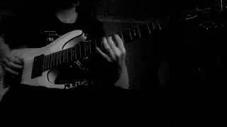 Disreign within the void guitar cover