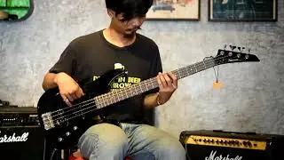 FERNANDES PJS 42
