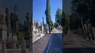 #tribute #donostia #grave #spain4k #cinematography