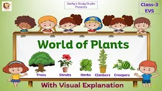🌱World of Plants | Types, Parts & Uses of Plants | Class 3 Science | With Visuals | CBSE | ICSE