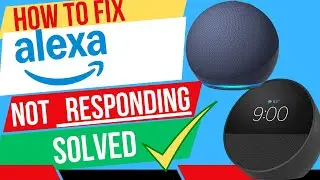 Alexa не отвечает. Исправьте это за считанные минуты | почему мой Alexa не отвечает?