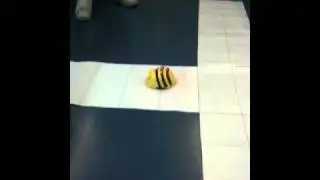 bee-bot coordonn&eacute;es.MOV