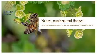Nature, numbers and finance - Sarah Bracking