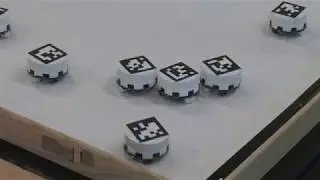 Insects&mdash;Models for Robots