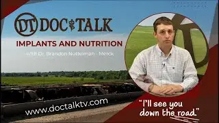 DocTalk 713 The Benefits of Implanting Calves with Dr. Nuttelman