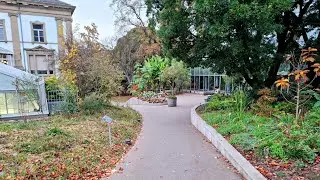 Mind Blowing Basel Botanic Garden Switzerland