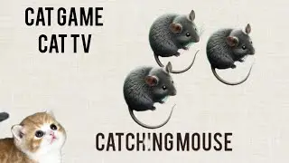 Cat Game-Catching Mouse 🐭 | Cat TV (60FPS)