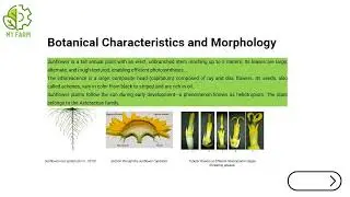 Module 2 U6 2 2  Oilseedcrops   Ovidius University of Constanta