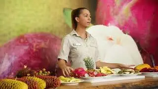Tropical Fruit World | Experience Oz