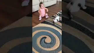 😍good morning status cute baby😍 best whatsapp status video WhatsApp Status -Baby Cute #shorts #reels