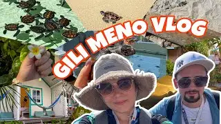 🏝️ОСТРОВА ГИЛИ/ РАЙСКИЕ?ГДЕ ЖИВУТ ЧЕРЕПАХИ🐢ГИЛИ МЕНО