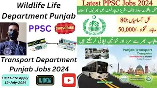 Wildlife Department Punjab Jobs - Transport Department Punjab Jobs 2024- How to Apply Online PPSC ?