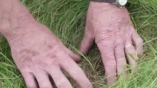Hillside Organic Farm supporting Roscommon Climate Call