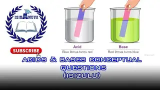 ACIDS AND BASES CONCEPTUAL QUESTIONS [ ISIZULU ]