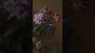 4K UHD Vintage TV Art Screensaver | Turn your TV into art #artfortv #tvscreensaver #art #flowerart
