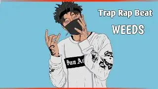 Aggressive Fast Flow Trap Rap Beat Instrumentals | Hard Tyga Type Hype Rap Beat | WEEDS