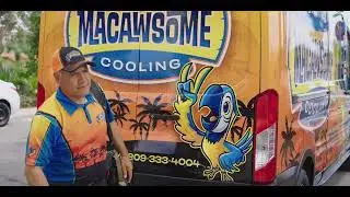 Macawesome