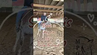 Start #Key 2 the #TurnAround #tips #teaching #colts the #spin #pony #size #fyp #shorts #horsevideo