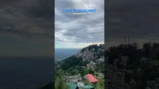 Best cafes in dharamkot #cafehopping #dharamkot #mcleodganj #solotravelling #explore #trending #fyp