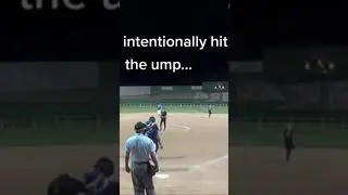 Softball players intentionally hit umpire after bad call 😳 #shorts