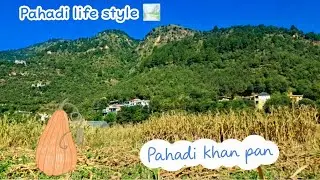 Pahadi khan pan 🥒|| kheto mai bhut sari sabjiyan hai || pahadi lifestyle style 🏞