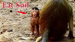 Alba ate Soil Mom stopped milk, Alba lose weight become skinny and skinny , Alba's failure to Thrive