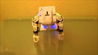 Voice Commands